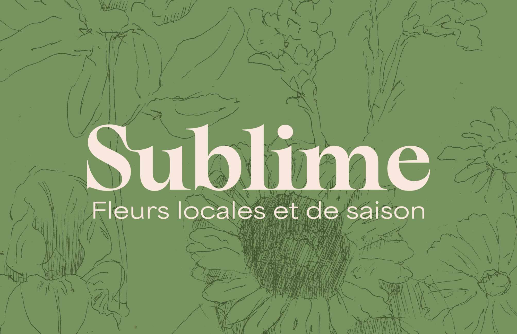 octo-Jules-Rondeau-Sublime-14